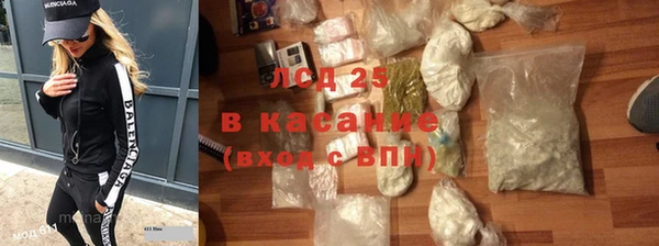 стаф Аркадак
