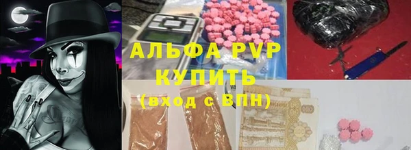 стаф Аркадак