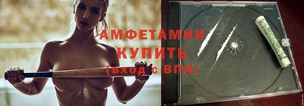 стаф Аркадак