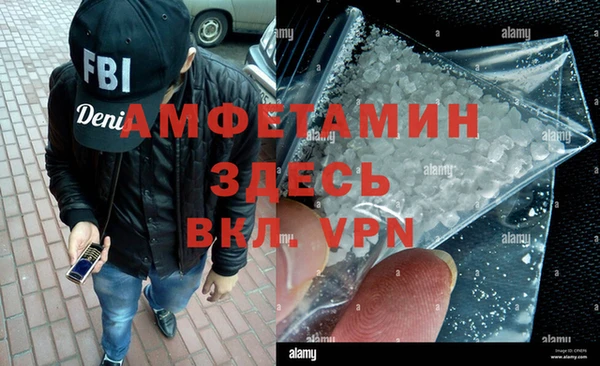 стаф Аркадак