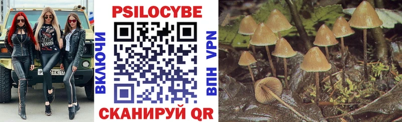 Псилоцибиновые грибы Psilocybine cubensis  Калязин 